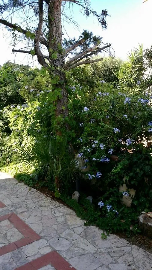 Il Giardino Del Falso Pepe 산비토로카포